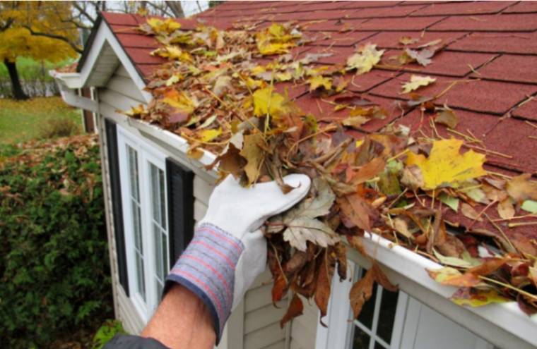 person removing leaves during gutter maintenance