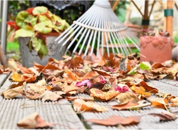 raking leaves and doing deck maintenance